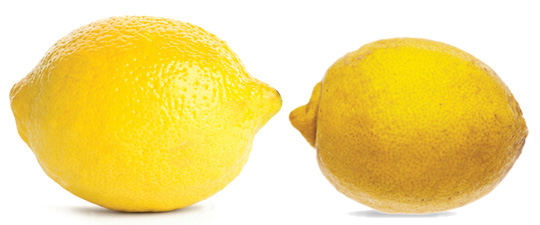 Large beautiful flawless lemon vs smaller poor quality lemon