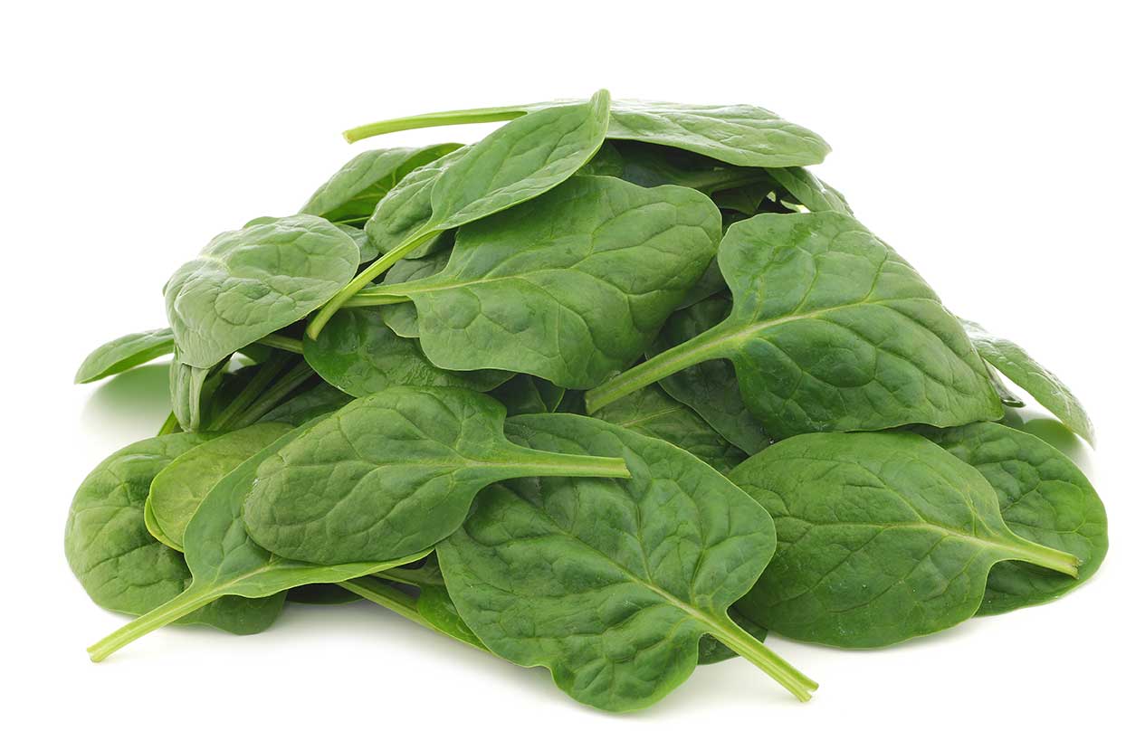 Pile of Spinach Leaves