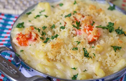 The Very Best Lobster Mac and Cheese