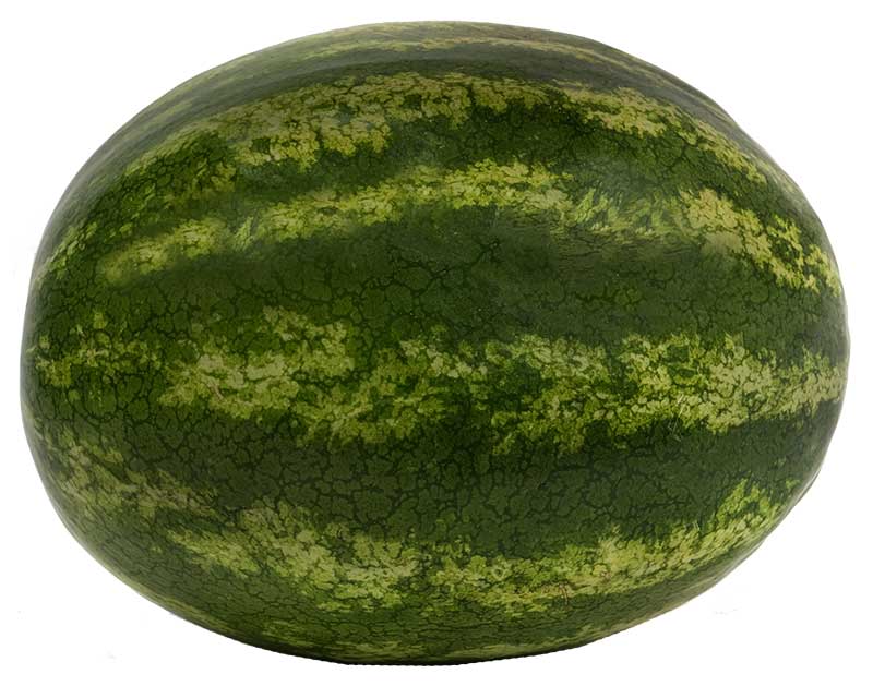 Watermelon-Dark-and-DullForWeb