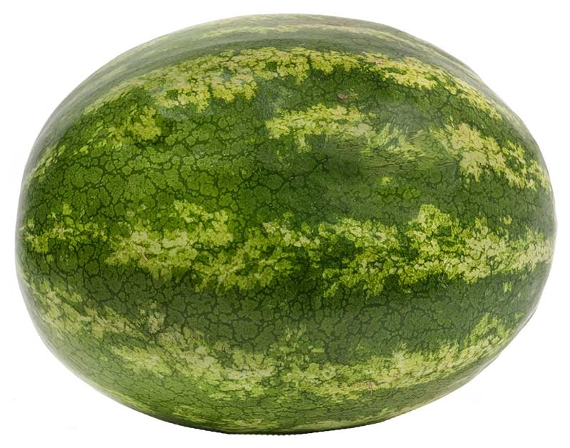 WatermelonNOT-Dark-and-DullForWeb