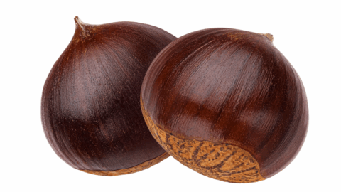 Chestnuts Isolated