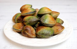 Cockle Clams