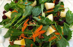 Kale Salad with Pears and Pecans