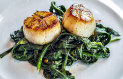 Seared Sea Scallops