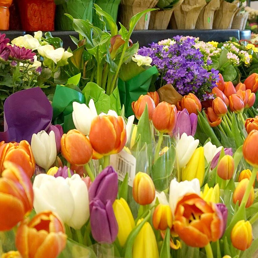 Caraluzzi's Floral - Tulips